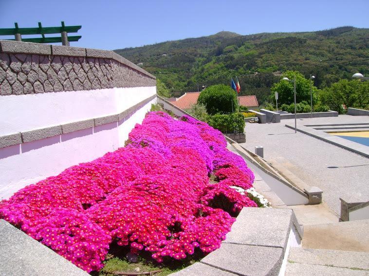 Miradouro Da Serra Monchique Exteriör bild